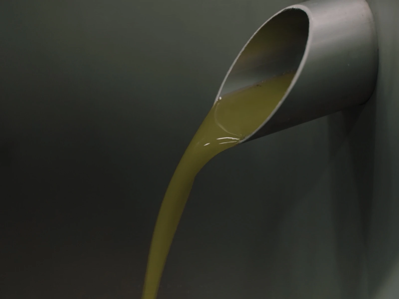 Análisis Técnico del Aceite de Oliva Virgen Extra Premium: Los Criterios Definitivos de Calidad